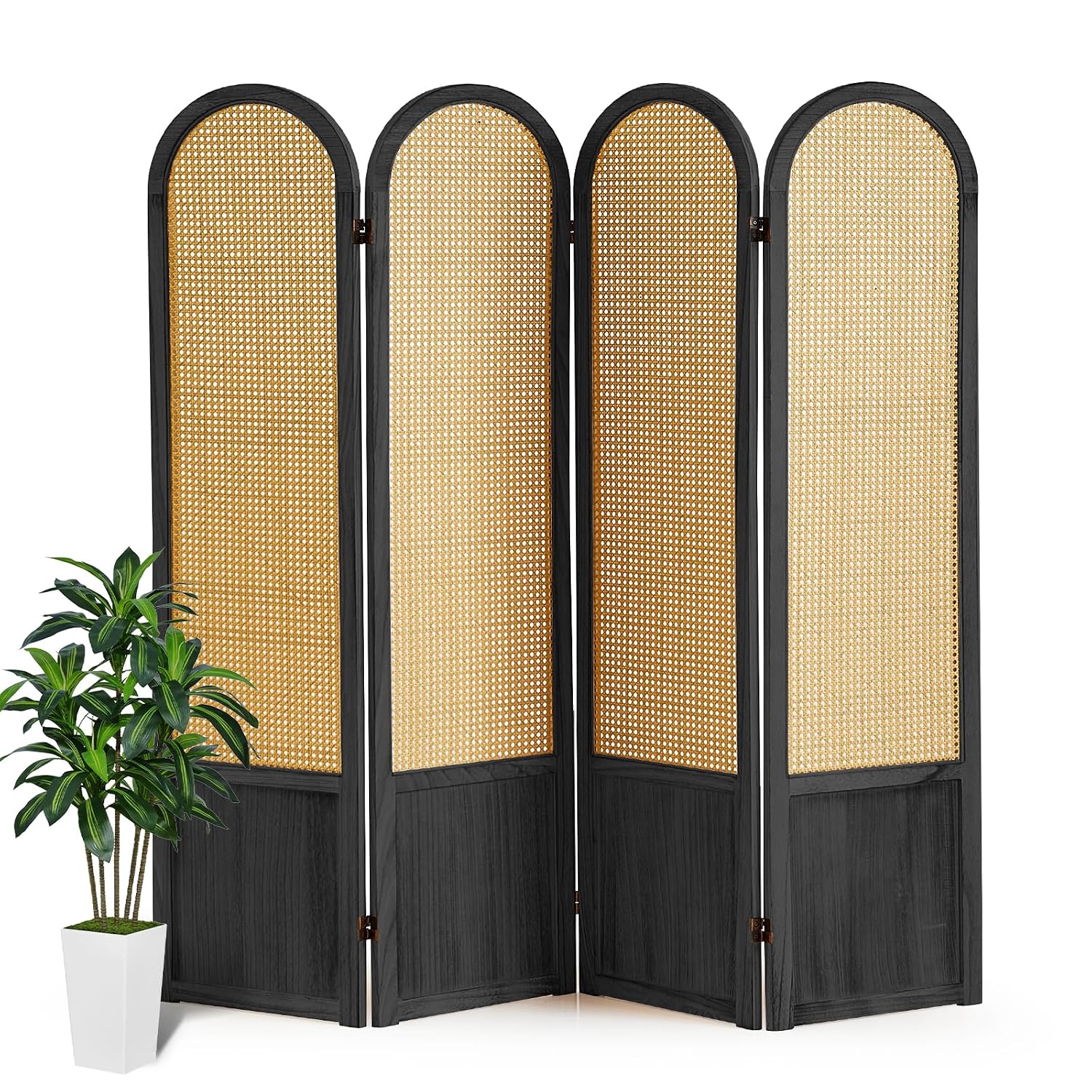فاصل غرفة قابل للطي من الروطان - مراجعة Partition Screen Divider وسعره